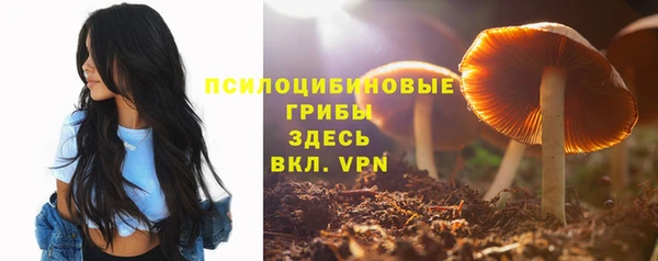 тгк Наволоки