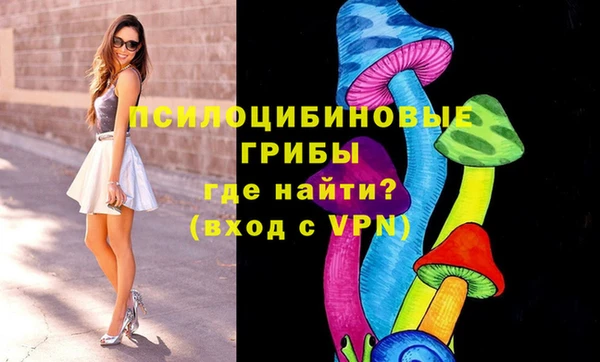 тгк Наволоки